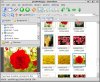 The new bookmark view (v1.2.92)